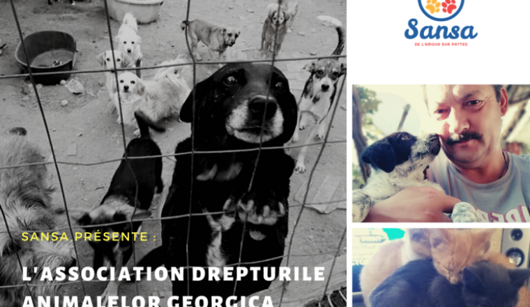 SOS refuge en détresse : manger pour vivre