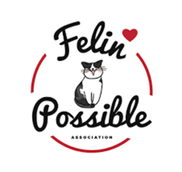 Venir en aide à l'association Félin Possible 76