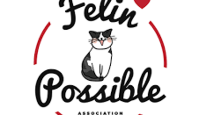 Venir en aide à l'association Félin Possible 76