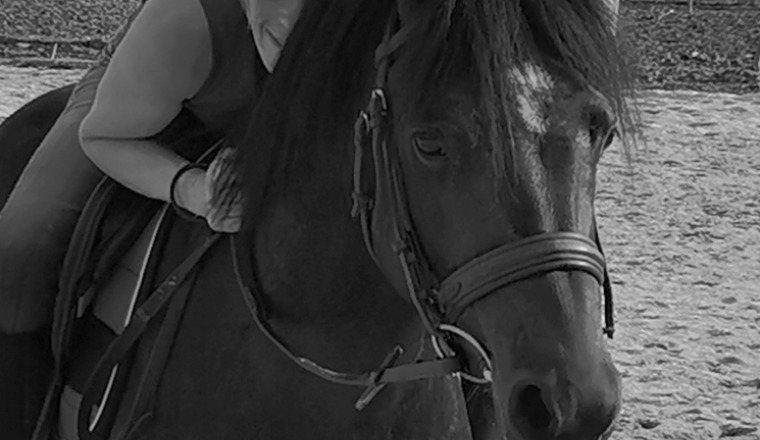 Cagnotte solidarité pour nos poneys