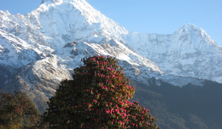 Pour des écoles dans l'Himalaya népalais et indien