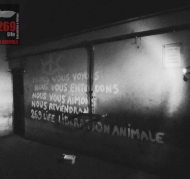Résistons avec elleux.