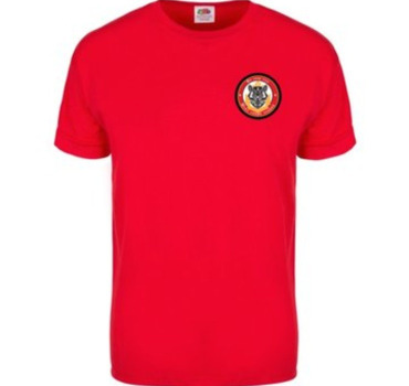 T shirt section