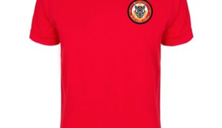 T shirt section