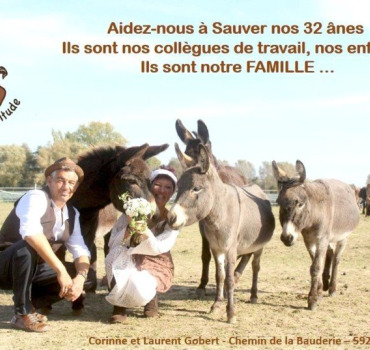Nous aider à sauver nos ânes