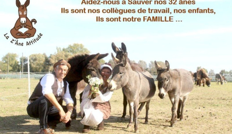 Nous aider à sauver nos ânes