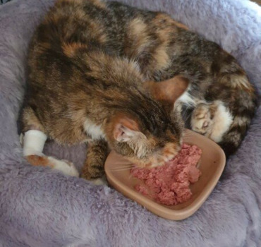 Poupette maman courage