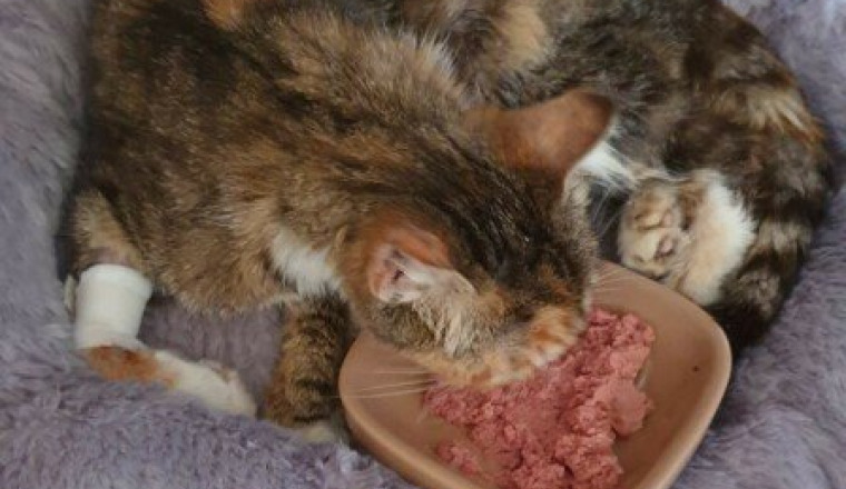 Poupette maman courage