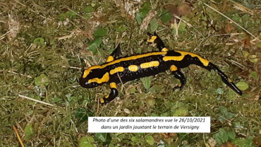 Image justificative de la cagnotte