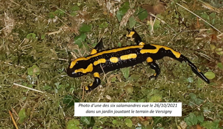 Image justificative de la cagnotte