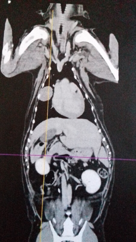 Image justificative de la cagnotte