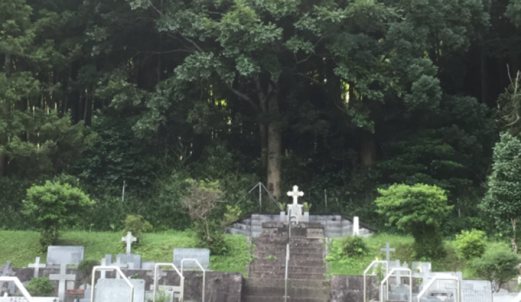 Image justificative de la cagnotte
