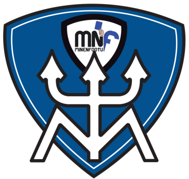 Nouvelle Écharpe MNF