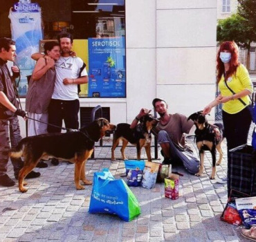 CAMPAGNE ANTIPARASITAIRE POUR LES CHIENS DE SDF