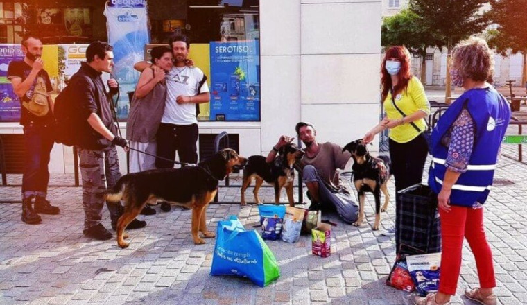 CAMPAGNE ANTIPARASITAIRE POUR LES CHIENS DE SDF