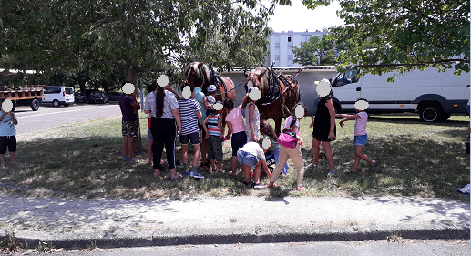 Image justificative de la cagnotte