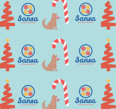 Grande tombola de Noël Sansa