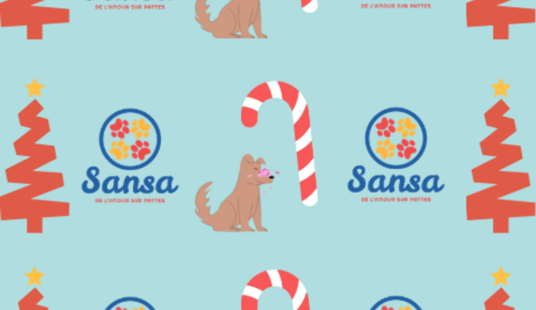 Grande tombola de Noël Sansa