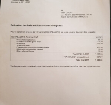 Aidé ike pour grosse opération hernie périnéale.