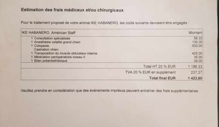 Aidé ike pour grosse opération hernie périnéale.