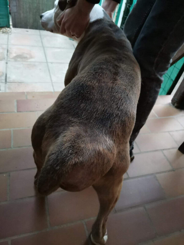 Image justificative de la cagnotte