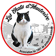 Image justificative de la cagnotte