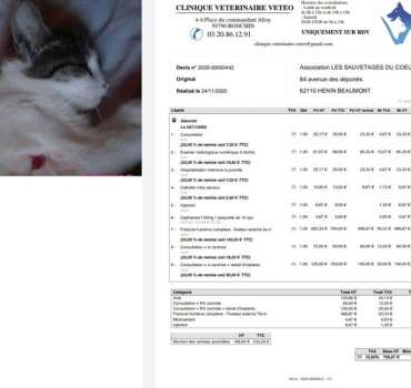 Saturnin Les sauvetages du coeur