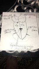 Image justificative de la cagnotte