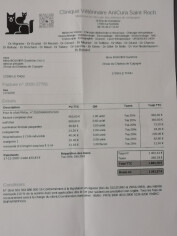 Image justificative de la cagnotte