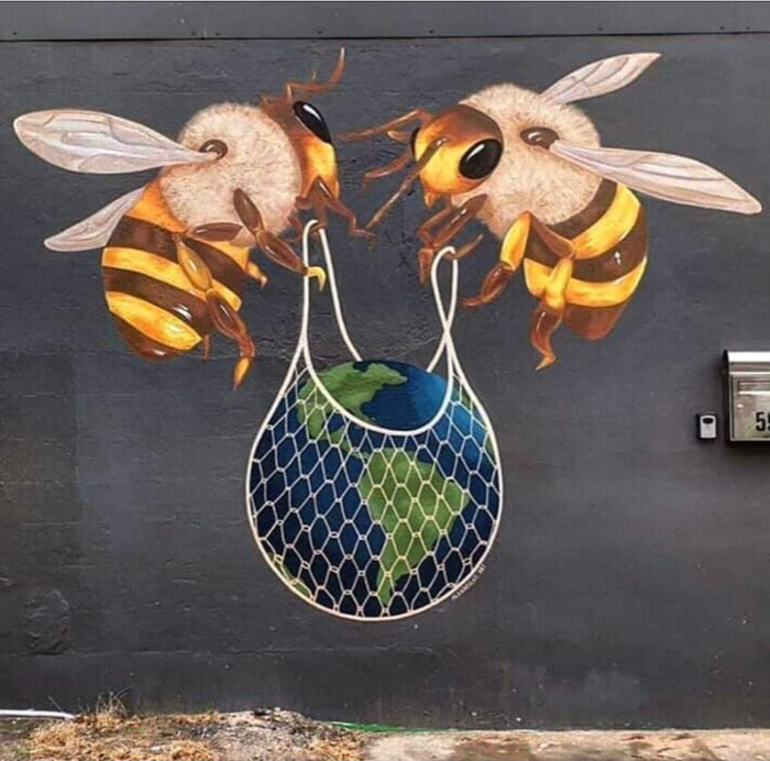 Image justificative de la cagnotte