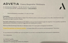 Image justificative de la cagnotte
