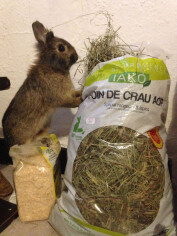 Image justificative de la cagnotte