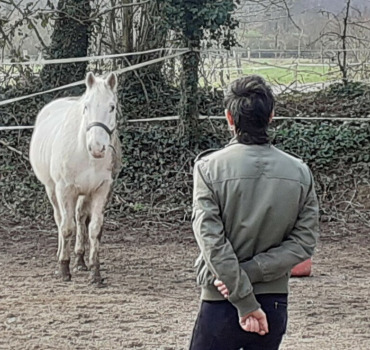 Un cheval pour Tim !