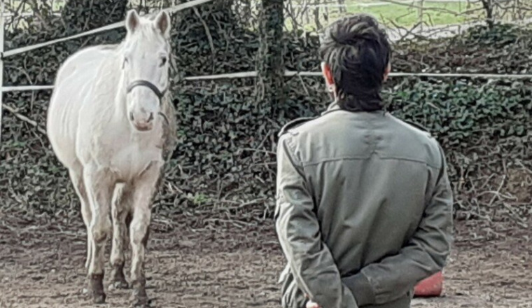 Un cheval pour Tim !