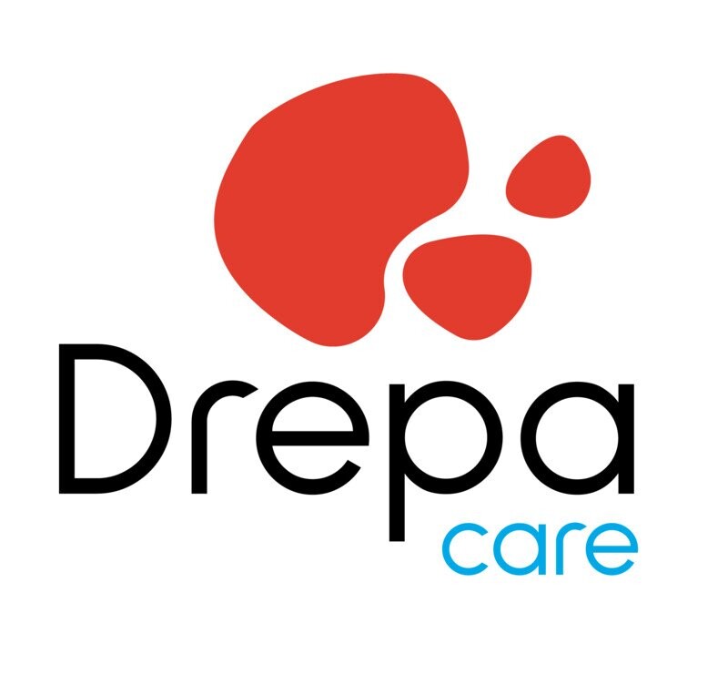 Projet Drepacare