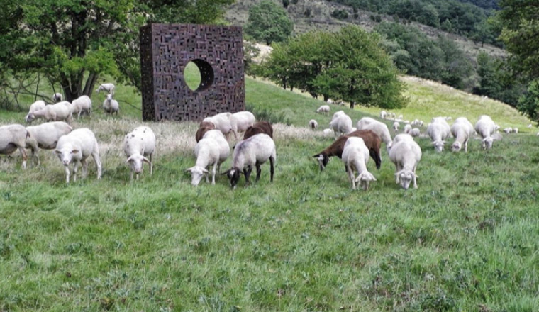 Image justificative de la cagnotte