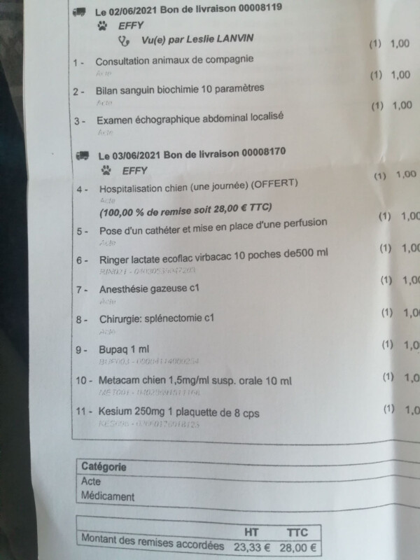Image justificative de la cagnotte
