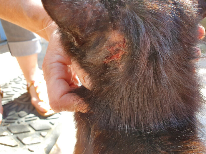 Image justificative de la cagnotte