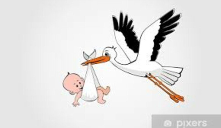 Un dernier espoir pour avoir un enfant