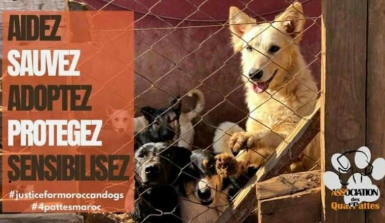 Aidez la collecte de fonds de corinne