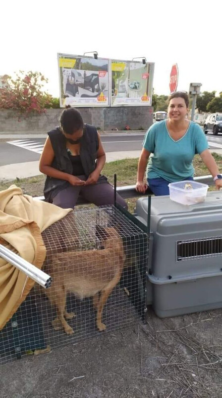 Fundraising proof image