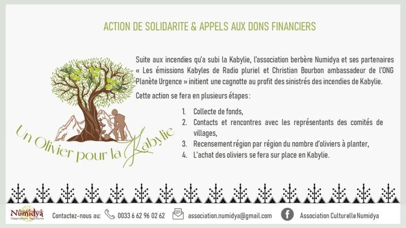 DES OLIVIERS POUR LA KABYLIE