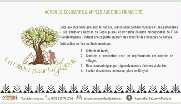 DES OLIVIERS POUR LA KABYLIE