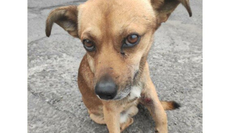 URGENCE POUR TITI ATTAQUÉ