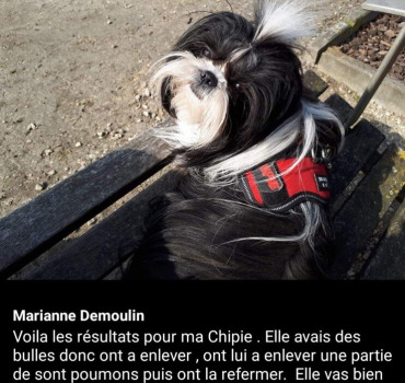 Chipie et Marianne