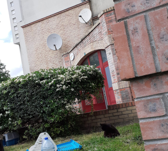 Image justificative de la cagnotte