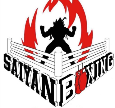 Saiyan boxing