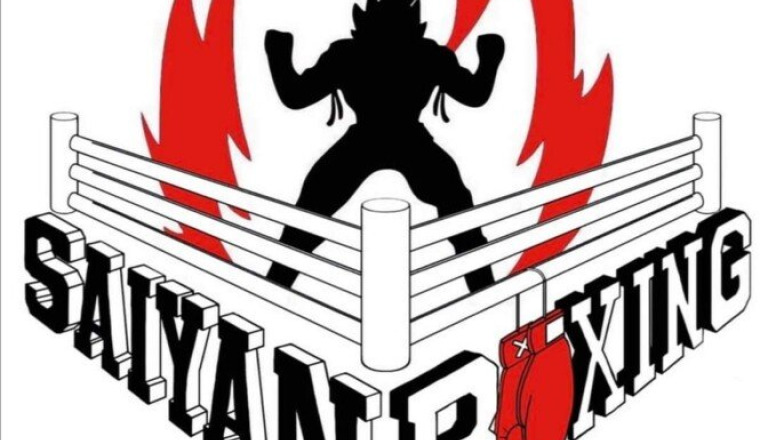 Saiyan boxing