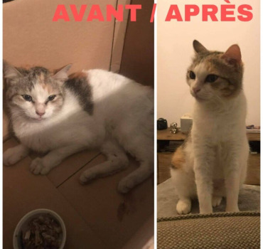 POUR ARYA