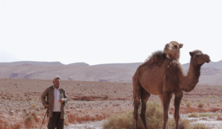 Image justificative de la cagnotte
